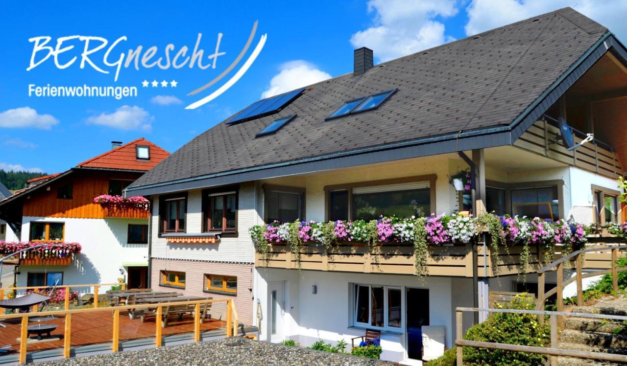 Bergnescht * Todtnauberg